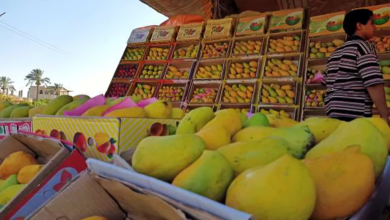 بيع المانجو في الأسواق