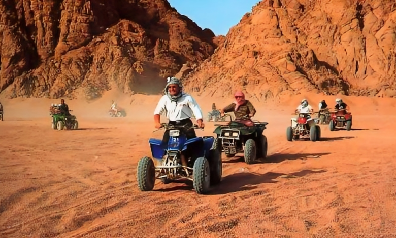 رحلات السفارى