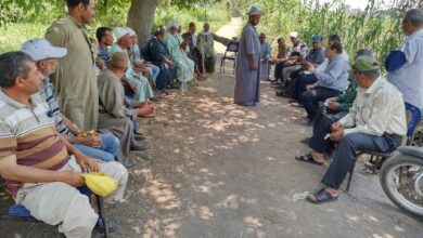 ندوة إرشادية للنهوض بمحصول القطن