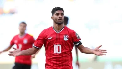 ابراهيم عادل