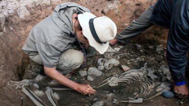 علماء الآثار ـ صورة أرشيفية