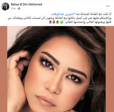 منشور الشاعر محمد علاء الدين