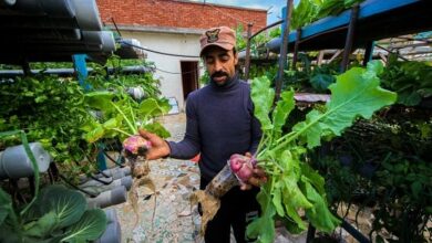 قرية نجع عون