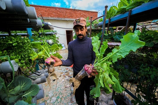 قرية نجع عون