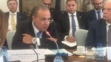 وزير الخارجية يشارك في الاجتماع الوزاري حول القضية الفلسطينية وتنفيذ حل الدولتين