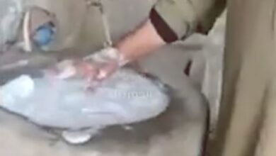 غسالة من الطوب