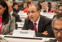 الدكتور بدر عبد العاطي وزير الخارجية