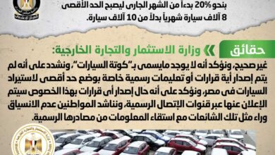 الحكومة تنفي خفض كوتة استيراد السيارات بنسبة 20%