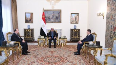 السيسي