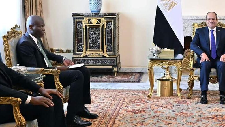 الرئيس السيسي