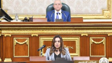 الدكتورة منال عوض وزيرة التنمية المحلية