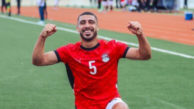 محمد ربيعه