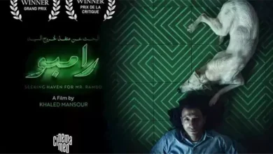 فيلم البحث عن منقذ لخروج السيد رامبو