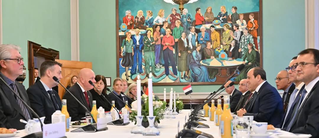 الرئيس السيسي يعزز الشراكة الاستراتيجية بين مصر والدنمارك