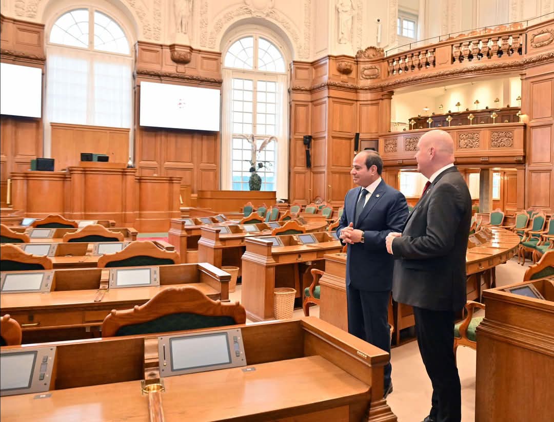 الرئيس السيسي 