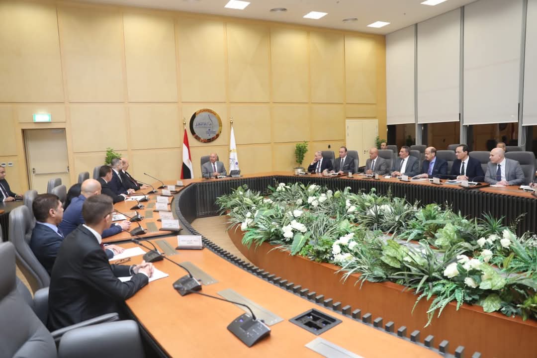 مصر تنطلق نحو ريادة تخريد السفن.. مشروع ضخم بميناء دمياط