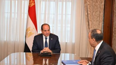 السيسي يوجه بتعزيز حقوق الإنسان في مصر خلال لقائه بوزير الخارجية