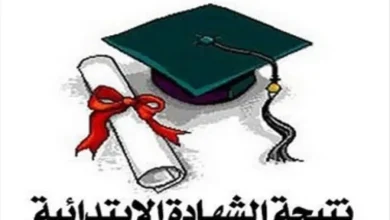 رابط نتيجة الصف السادس الابتدائي وخطوات الاستعلام بسهولة