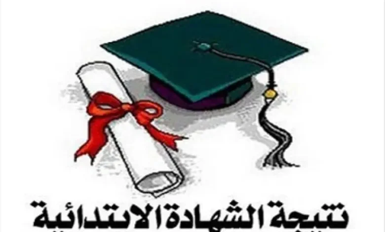رابط نتيجة الصف السادس الابتدائي وخطوات الاستعلام بسهولة