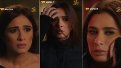مسلسل وتقابل حبيب