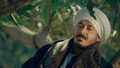 مسلسل حكيم باشا