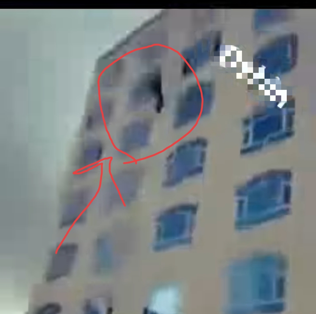 آية عادل