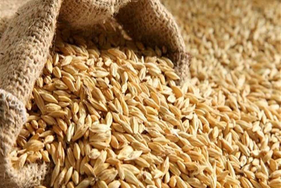 سعر الأرز الشعير 