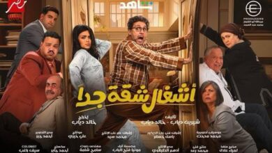 مسلسل أشغال شقة جدًا
