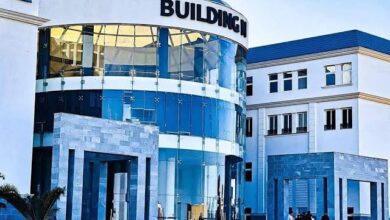 جامعه سيناء