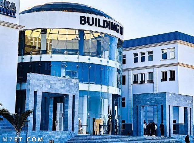 جامعه سيناء