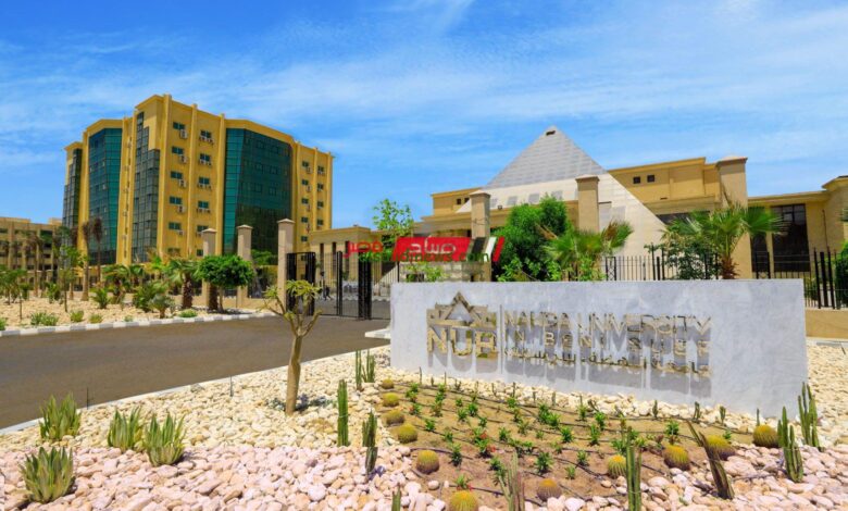 جامعة النهضة