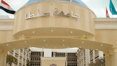 جامعة طنطا