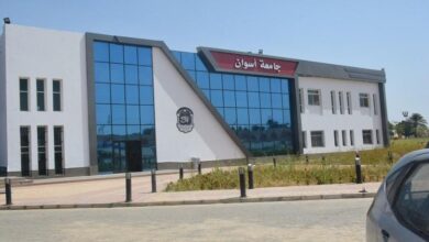 جامعه اسوان