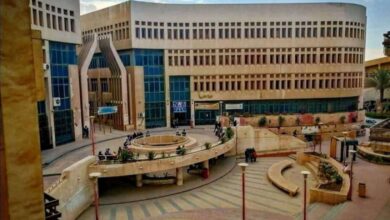 جامعه حلوان 