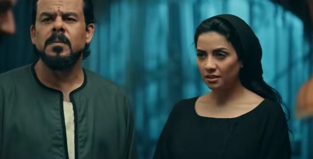 مسلسل حكيم باشا