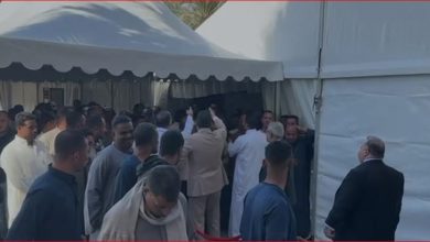 المصريين بالخارج