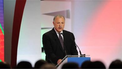 هاني أبوريدة