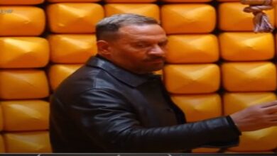 ماجد المصري