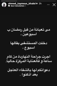 مي عز الدين