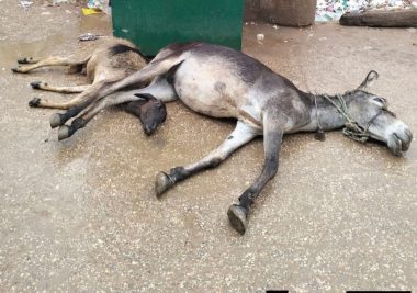 واقعة الصعق الكهربائي في البدرشين