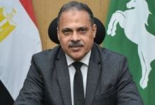 محافظ الشرقية