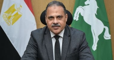 محافظ الشرقية