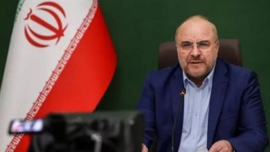 رئيس البرلمان الإيراني