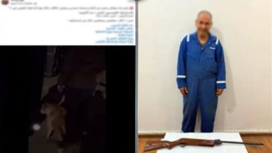 ضبط المتهم بالتعدي على الكلاب