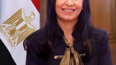 التضامن الاجتماعي