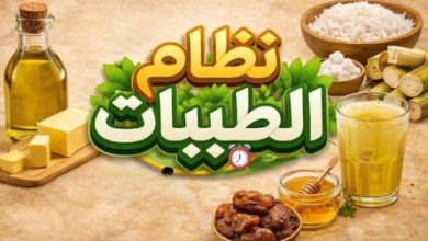 نظام الطيبات