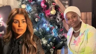 حبس خادمة منة فضالي