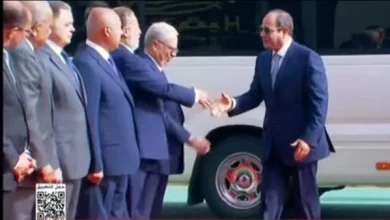 السيسي