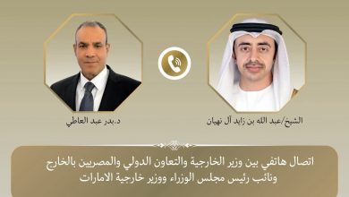وزير الخارجية و نظيره الإماراتي