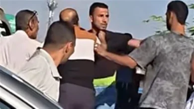 المشاجرة